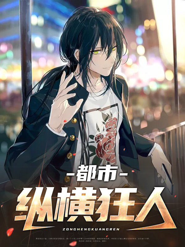 都市纵横第二部