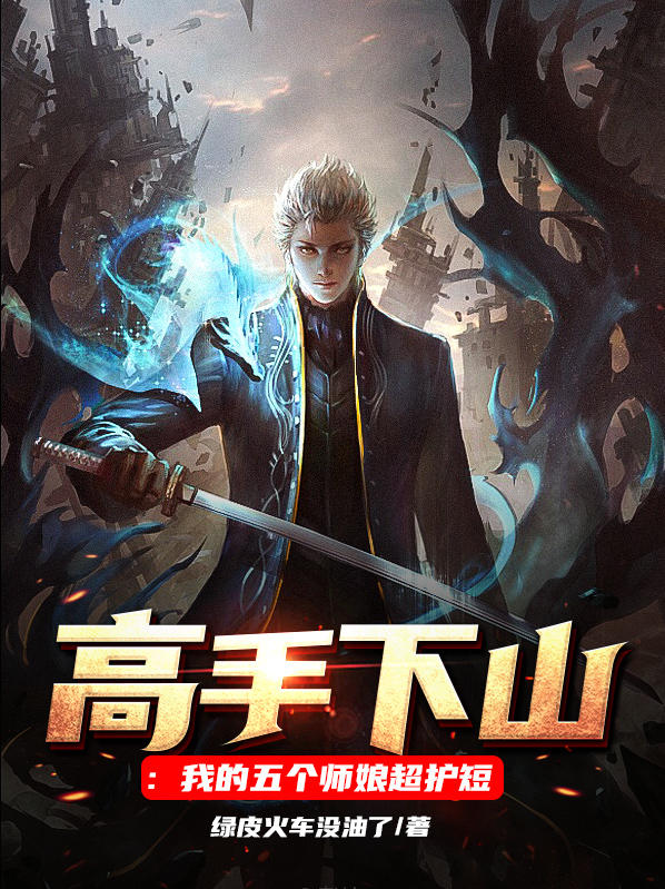 高手下山:我的五个师娘超护短
