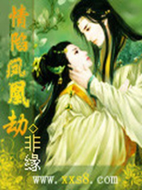 情陷歌曲原唱dj何鹏版