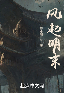 风起明末起点中文网