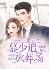 一胎五宝:慕少追妻火葬场