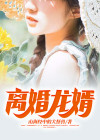 离婚龙婿