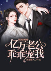 错嫁缠婚:亿万老公乖乖宠我