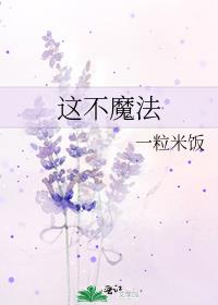 这不魔法一粒米饭百度云