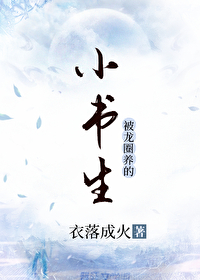小书生的电视剧叫什么名字