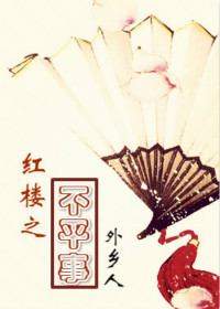 红楼之不平事公主