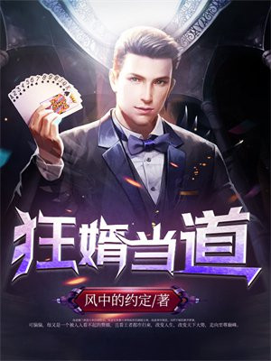 狂婿当道