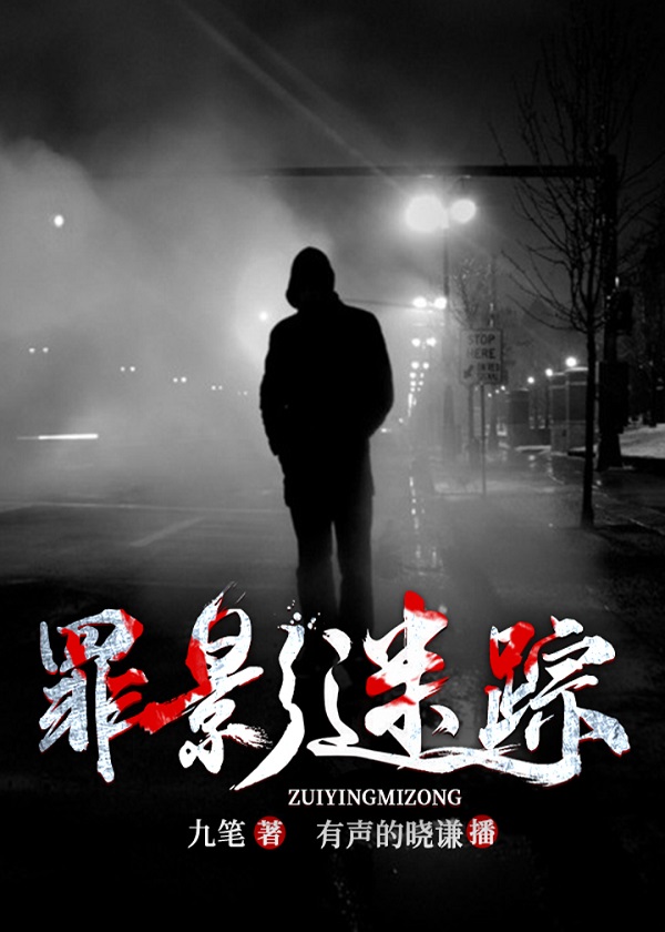 罪影迷踪百度网盘