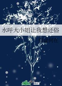 水呼大小姐让我想还俗作者:归途何在