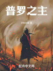 普罗之主起点中文网