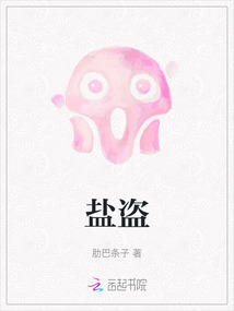 盐盗摄一四区5区