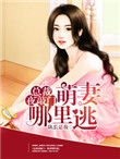 总裁夜敲门:萌妻哪里逃 队长是我