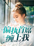 偏执首席小说