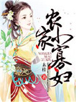 农家小寡妇电视剧