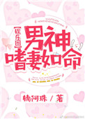 男神嗜妻如命[娱乐圈]TXT下载