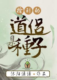 捡到的道侣是种子谁是攻