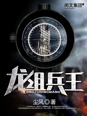 龙组兵王尘风