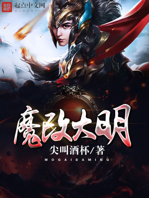 大明改革设计师