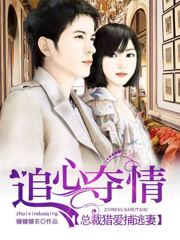 总裁追妻心酸史