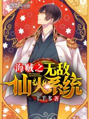 海贼之无敌仙火系统 小说