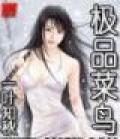 网游之极品菜鸟