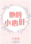 他的小心肝小说全文免费阅读