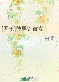 网王向彼方的彼方
