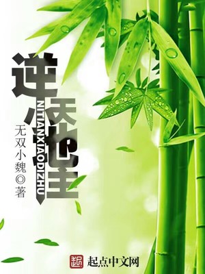 逆天小土匪百度百科
