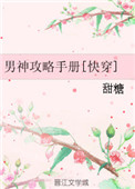 《男神攻略手册》