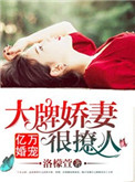亿万婚宠:免费阅读