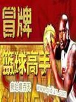冒牌明星高手 小说
