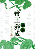 帝王光辉养成攻略