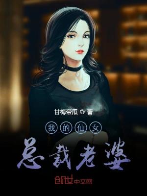 我的仙女总裁老婆 小说
