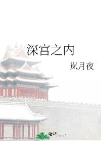 深宫之内岚月夜讲的什么