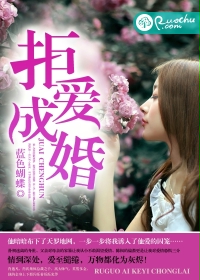 假爱成婚 小说