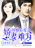 闪婚后爱甜妻安分点全本