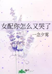 女配你怎么又哭了晋江