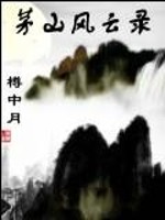 茅山风云录微笑的苹果
