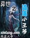 异世之逍遥小王爷 shushuw