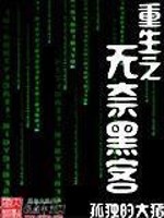 重生之无奈黑客小说