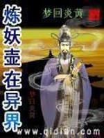炼妖壶在异界TXT