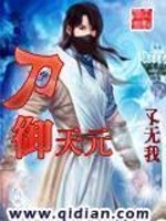 刀御天元TXT下载