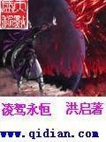 凌驾小说