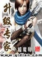 升级专家 小说