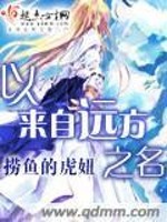 以来自远方之名TXT下载