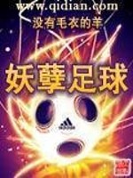妖孽足球txt
