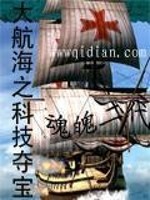 大航海科技有限公司怎么样