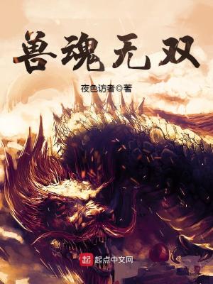 兽魂 小说