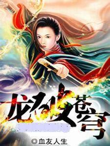 龙破苍穹小说