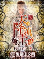 天降领主免费下载